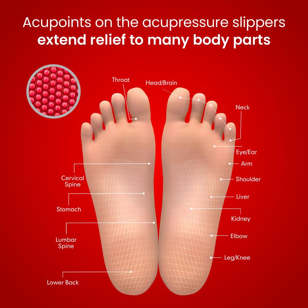 Dr.Ortho Orthopedic Slippers | Acupressure Slippers | Flip-Flops | For Men & Women's Slippers, Red - 8 UK