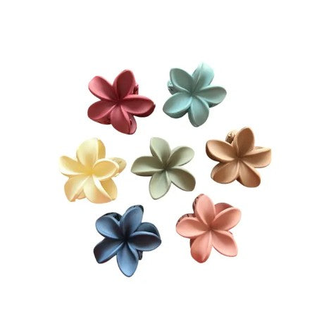 Korean Catch clips I clutches I 7 colours I 7clips ai cosy accessories I flower clutches I clutches for women